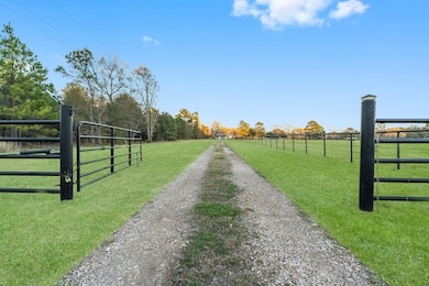 25817 Joseph Rd, Hockley, TX 77447 - photo 3