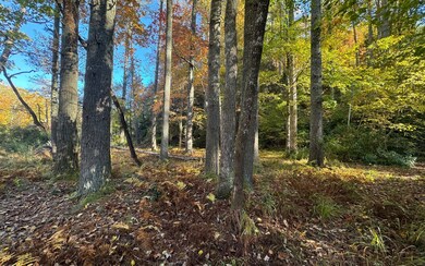 Additional View