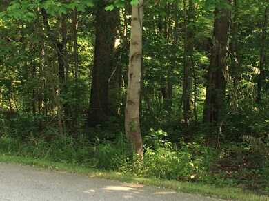 0 N Campbell unit 464059, Laporte, IN 46350 - photo 4