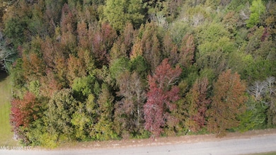 0 Mount Sinai Rd, Foxworth, MS 39483 - photo 5