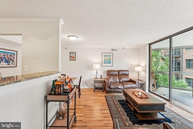 1024 N Utah St unit 524, Arlington, VA 22201 - photo 3