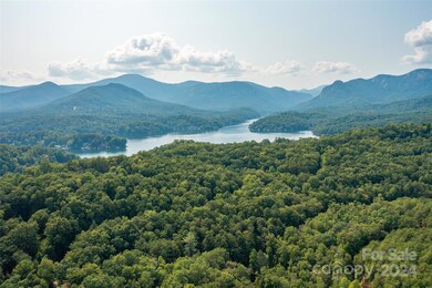 0 Mallard Rd unit CAR4123396, Lake Lure, NC 28746 - photo 5