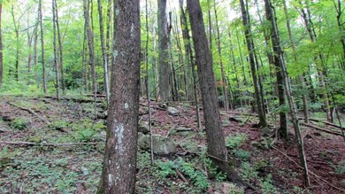 676 Keyserkill Rd, Middleburgh, NY 12122 - photo 7