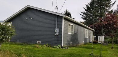 Side and back yard