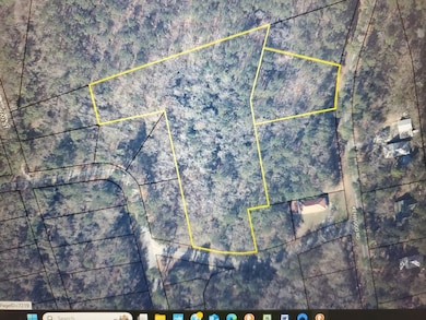 Tbd unit Sub, Manning, SC 29102 - photo 7