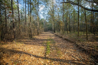 0 Mississippi 389, Pheba, MS 39755 - photo 5