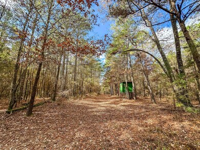 00 Cr 2235, Bagwell, TX 75412 - photo 6