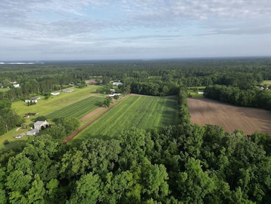 0 Cypress Campground Rd unit LotWP001, Ridgeville, SC 29472 - photo 4