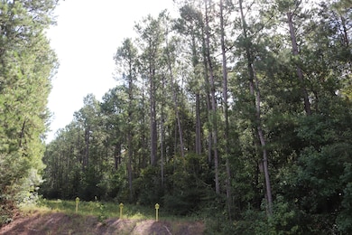 0 Coleman Rd Ms 13 unit 134645, Oak Vale, MS 39656 - photo 4
