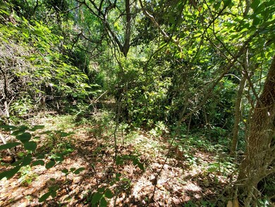 000 Morey Hill Rd, Baconton, GA 31716 - photo 6