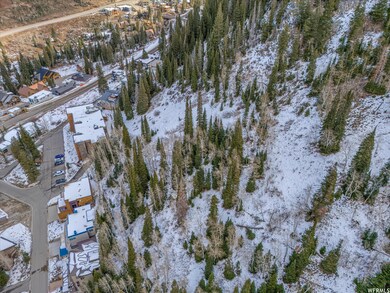 9840 Martha Rd, Alta, UT 84092 - photo 5