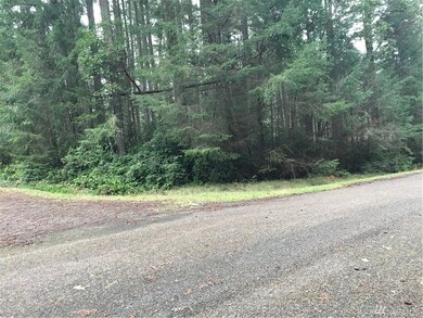 11311 Admiralty Way unit AI, Anderson Island, WA 98303 - photo 3