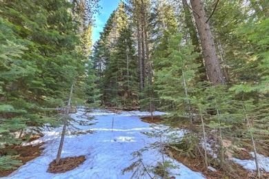 1346 Thunderbird Dr, South Lake Tahoe, CA 96150 - photo 4