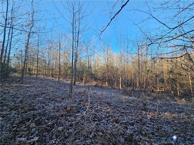 0 Warbonnet Trail unit 2532180, Mineral, VA 23117 - photo 6