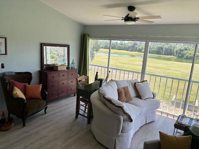 1041 Capri Isles Blvd unit 219, Venice, FL 34292 - photo 5