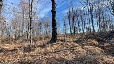 3194 Route 94, Hardyston Twp., NJ 07416 - photo 6