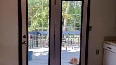 Backdoor to patio