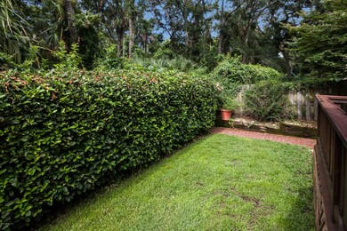 backyard_ (1)