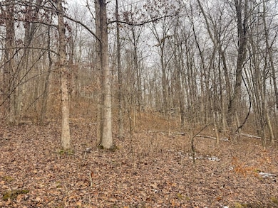 Lot 1 States Fork Rd, Metz, WV 26585 - photo 4