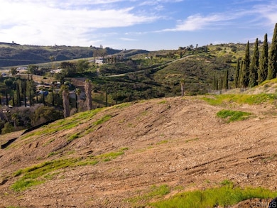 31657 Ritson Rd, Escondido, CA 92026 - photo 3