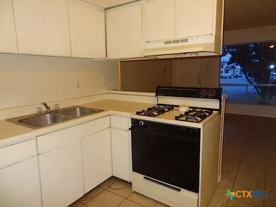 1231 N Lbj Dr unit 6, San Marcos, TX 78666 - photo 4