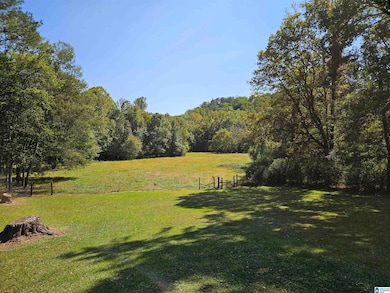 3476 Beason Cove Rd, Steele, AL 35987 - photo 7