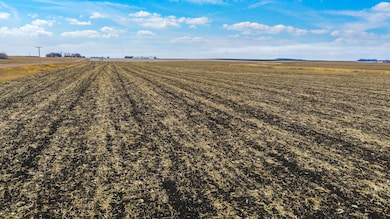 26-109-46W Verdi Twp Lincoln Co Mn, Pipestone, MN 56164 - photo 2