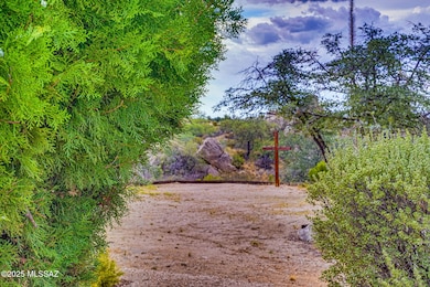 84-web-or-mls-DSC03476123