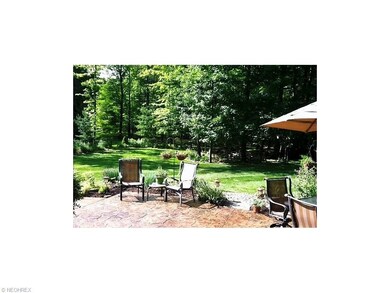Patio view of wooded oasis