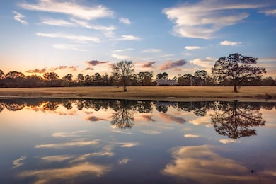 Catalpa Rd, Big Sandy, TX 75755 - photo 2