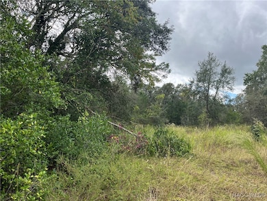 3800 E Crystal Ln, Inverness, FL 34452 - photo 3