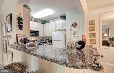 11306 Westbrook Mill Ln unit 203, Fairfax, VA 22030 - photo 4