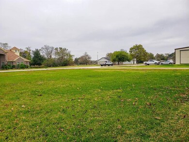 1 Hal Mclain Rd, Manvel, TX 77578 - photo 4