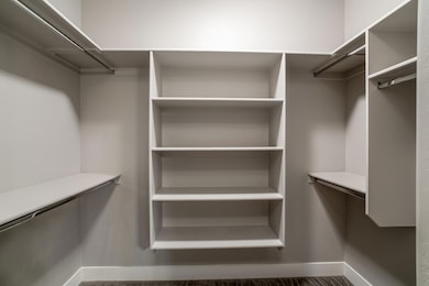 Primary Closet