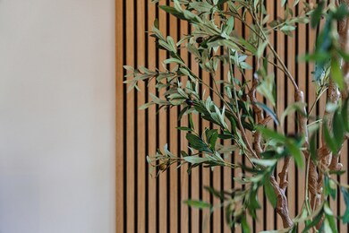 663 E 7th St unit 3, Boston, MA 02127 - photo 5