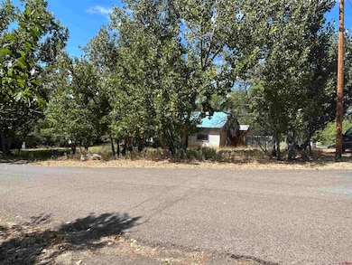 610 Grape St, Nucla, CO 81424 - photo 2