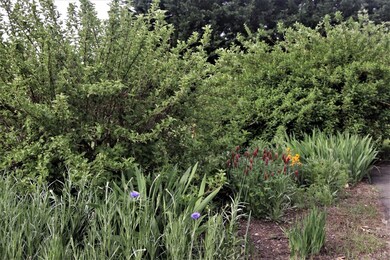 Nicely Landscaped