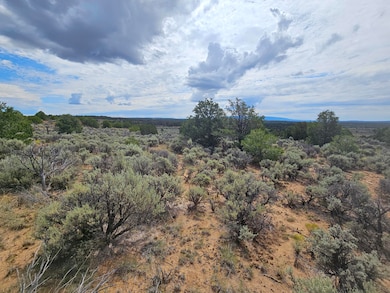 0 Lindrith Nm unit 1069027, Lindrith, NM 87029 - photo 5