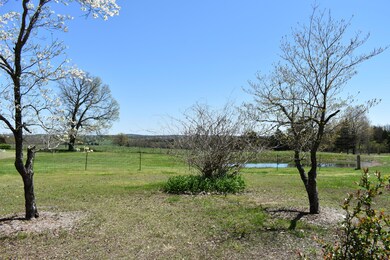 DSC_0422
