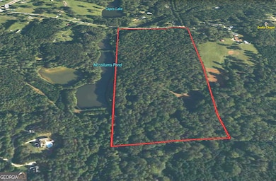 31 AC Lamb Rd, Moreland, GA 30259 - photo 2