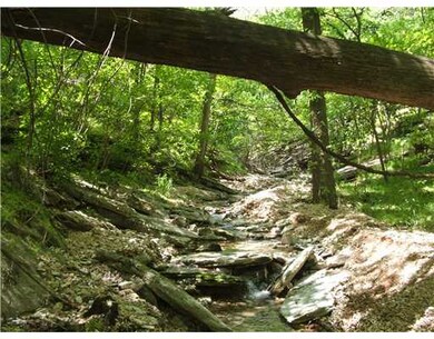 8 Grisham Dr, Bella Vista, AR 72715 - photo 4