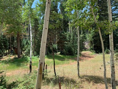 865 W Bear Track, Duck Creek Village, UT 84762 - photo 5