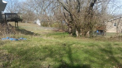 Fitzpatrick 387 E Hackberry back yard ph