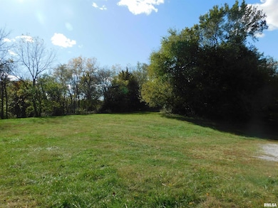 2517 State Highway 17, Viola, IL 61486 - photo 4