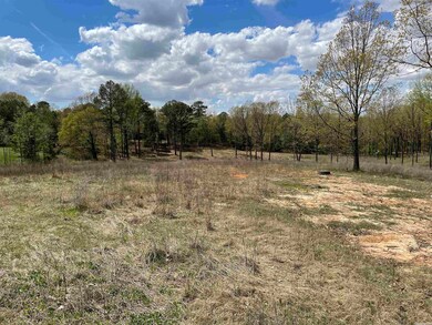 157 Greene 705 Rd, Jonesboro, AR 72401 - photo 4