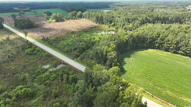 0 Highway 521 unit Tract 2, Greeleyville, SC 29056 - photo 7