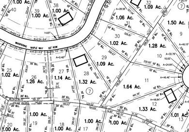 28218 Whispering Maple Way, Spring, TX 77386 - photo 2