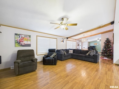 13014 Kirby St, Tallula, IL 62688 - photo 7