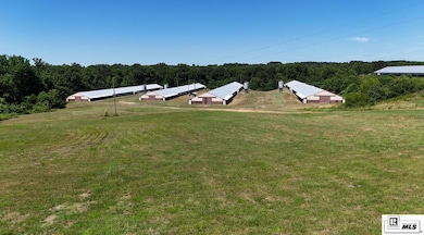 156 Jake Frost Rd, Downsville, LA 71234 - photo 4