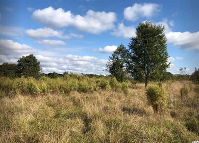 0 Abner Creek Rd unit 2116714, Greer, SC 29651 - photo 7